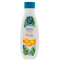 Shampooing en Kératine 750 ml